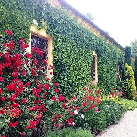 Apartman Zamek Jemniste *