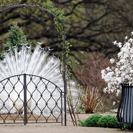 Zamek Jemniste Postupice