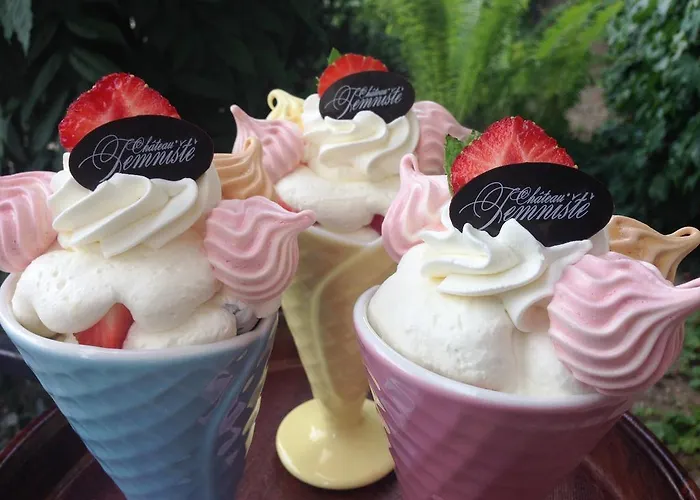 Zamek Jemniste Appartement *