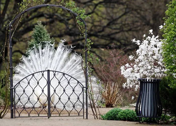 Zamek Jemniste Postupice